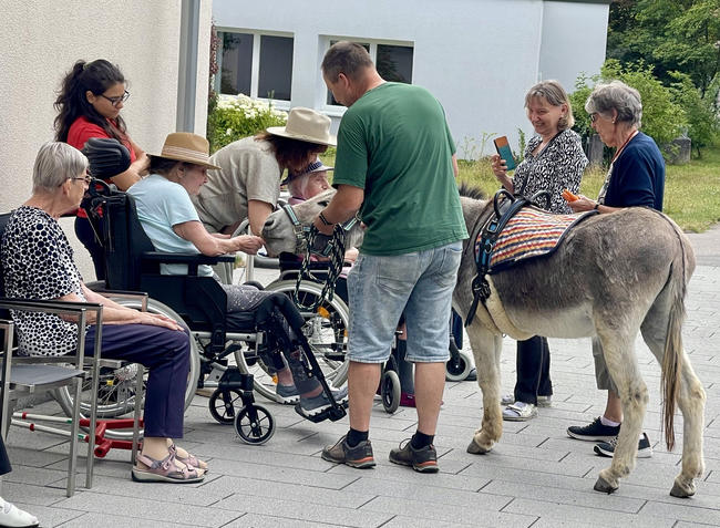 Das Bild zeigt zwei Esel und unsere Bewohner